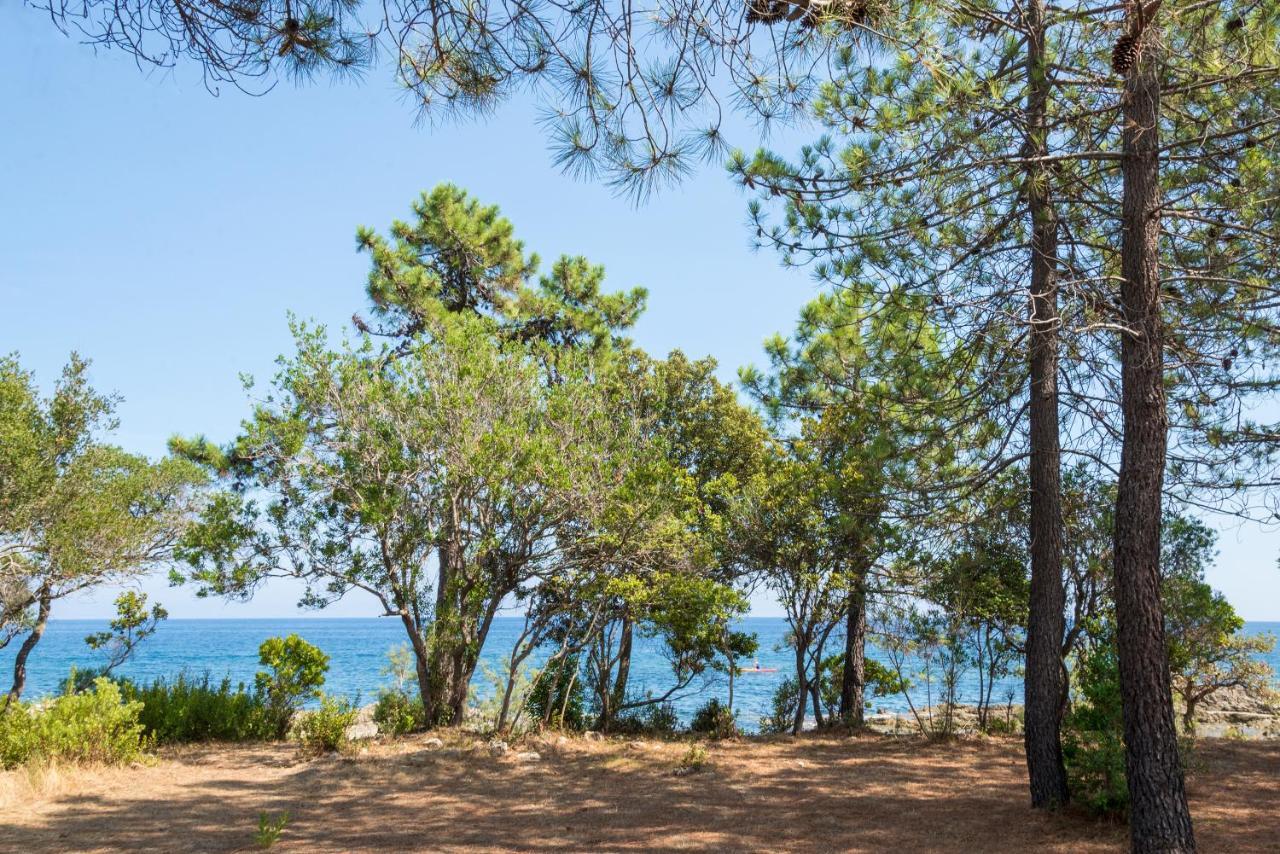 Domaine De Pianiccia Leilighet Favone Eksteriør bilde